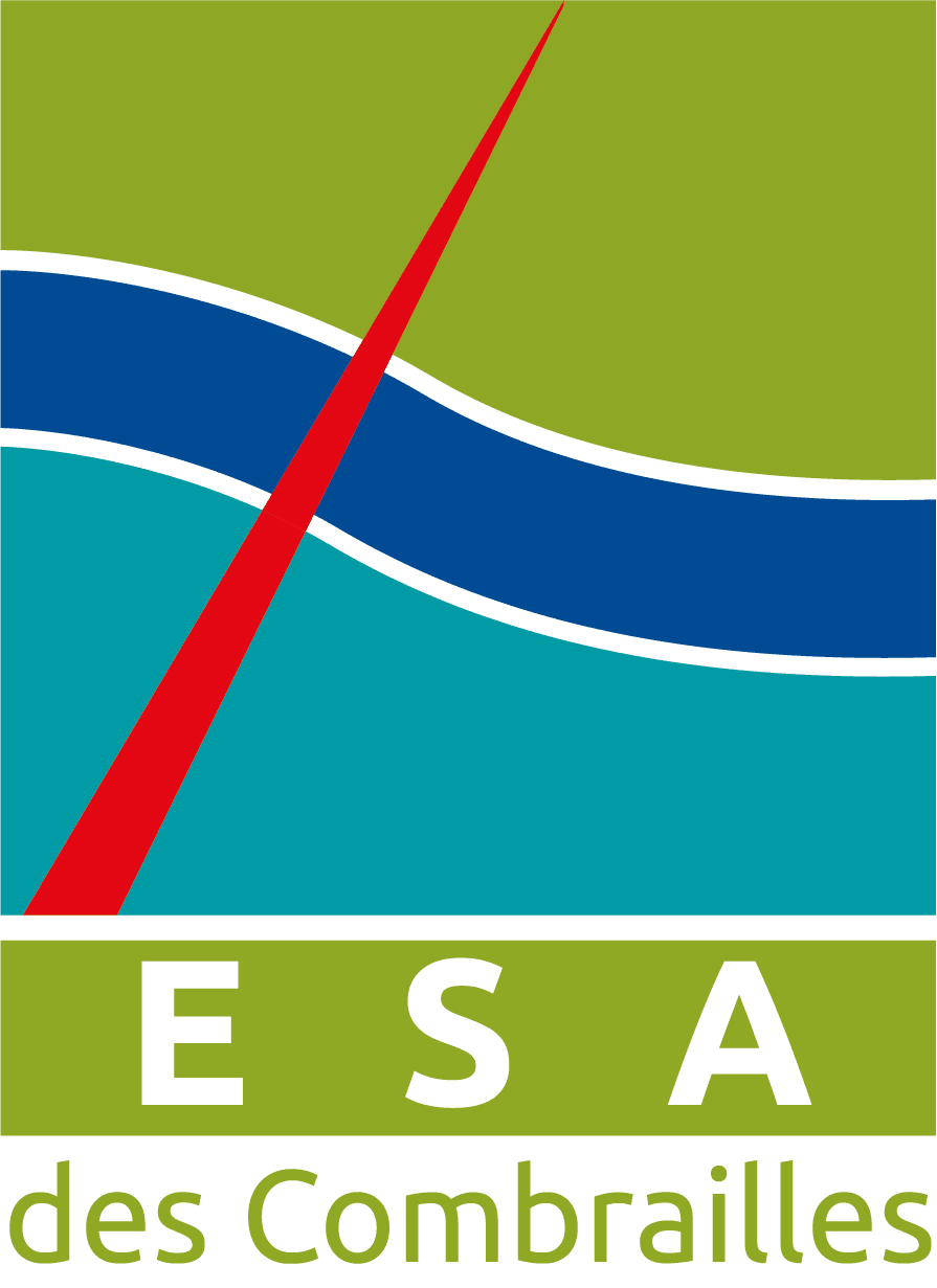 Logo ESA 2021